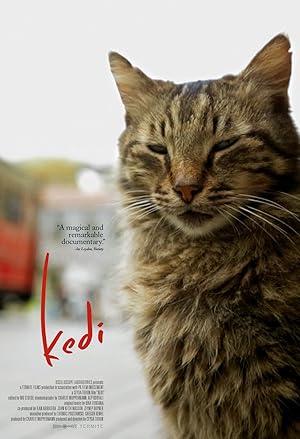 Kedi Poster