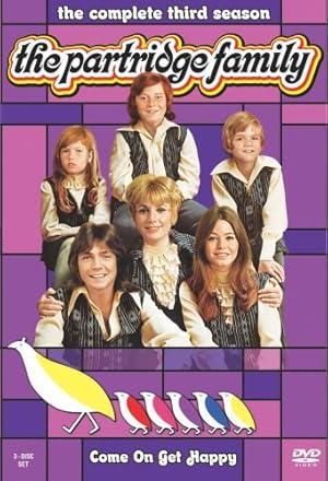 The Partridge Family Poster