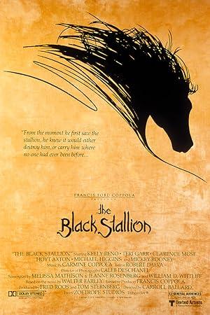 The Black Stallion Poster