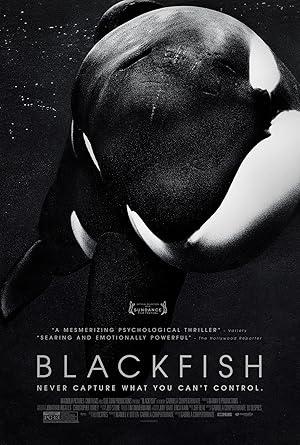 Blackfish Poster